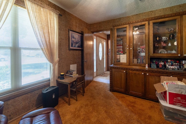 carpeted office with a textured ceiling