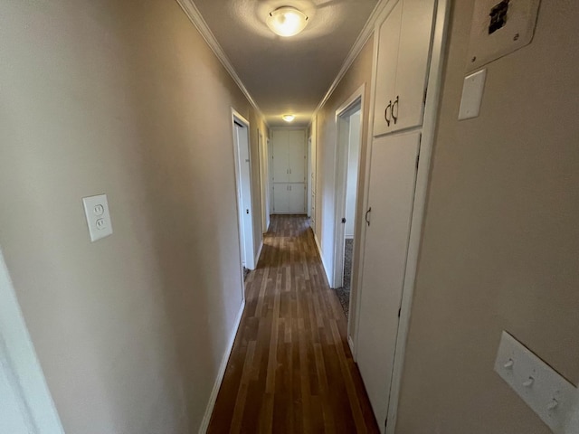 hallway featuring crown molding and dark wood-type flooring