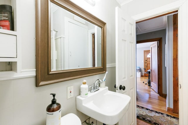 bathroom with sink and wood-type flooring