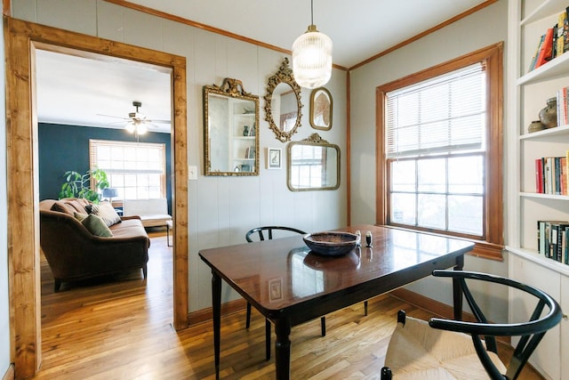 dining room with crown molding, ceiling fan, and light wood-type flooring