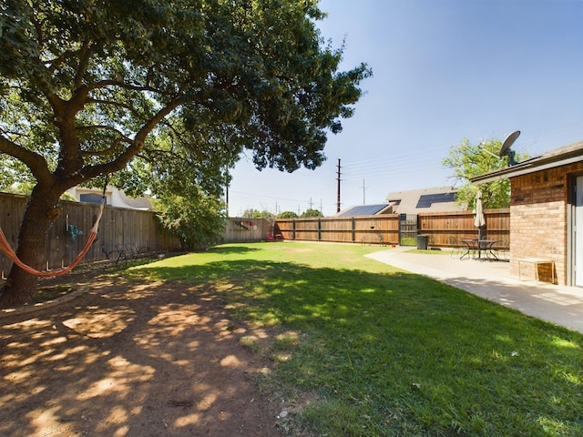 view of yard featuring a patio area