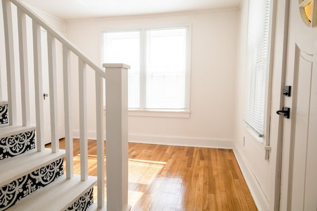 interior space with wood-type flooring