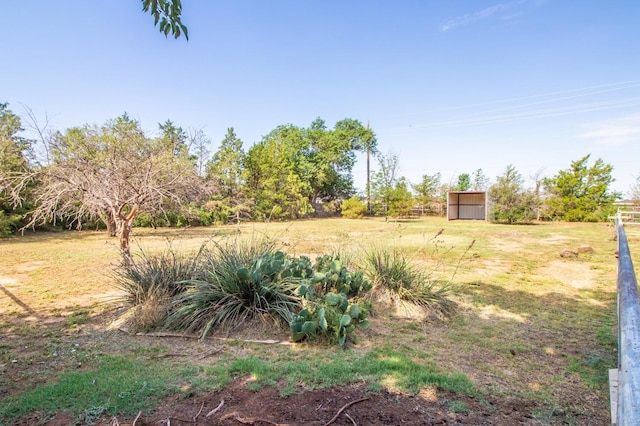 view of yard featuring a shed