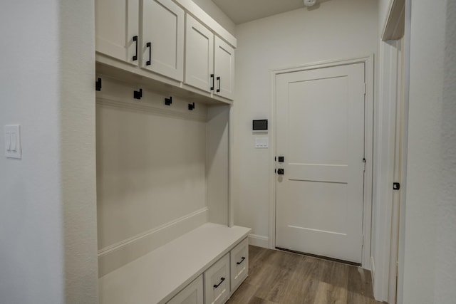 mudroom with light wood-type flooring