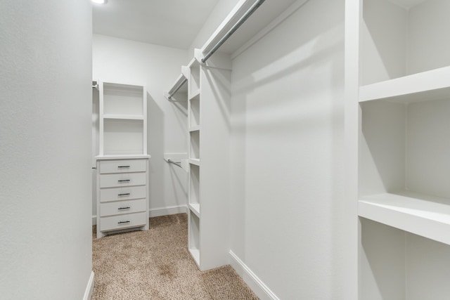 walk in closet with light colored carpet