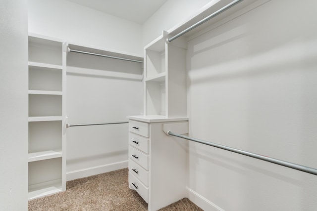 spacious closet featuring light colored carpet