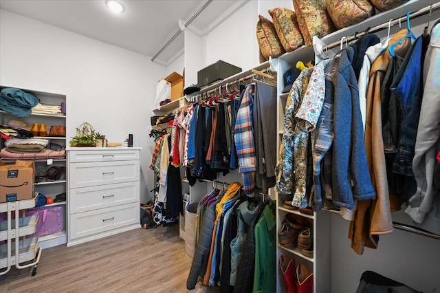 walk in closet featuring hardwood / wood-style flooring