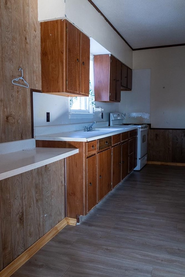 kitchen featuring sink, crown molding, dark hardwood / wood-style floors, and white electric range oven