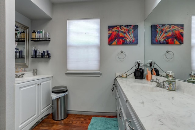 bathroom with wood-type flooring and vanity