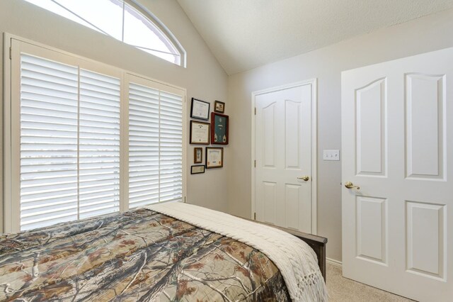 carpeted bedroom with vaulted ceiling