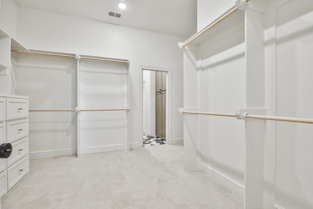 spacious closet with light carpet