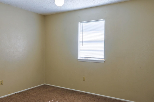 unfurnished room with carpet floors and a textured ceiling