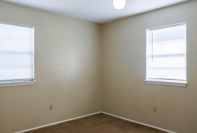 carpeted empty room featuring a textured ceiling and a healthy amount of sunlight