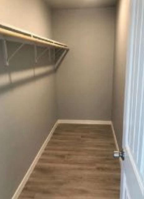 walk in closet featuring dark wood-type flooring