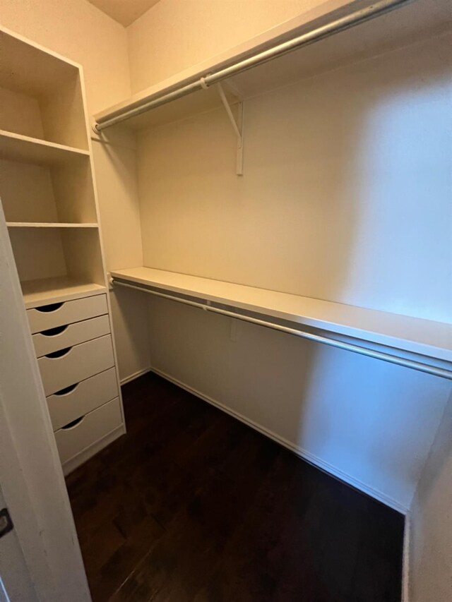 walk in closet featuring dark wood-type flooring