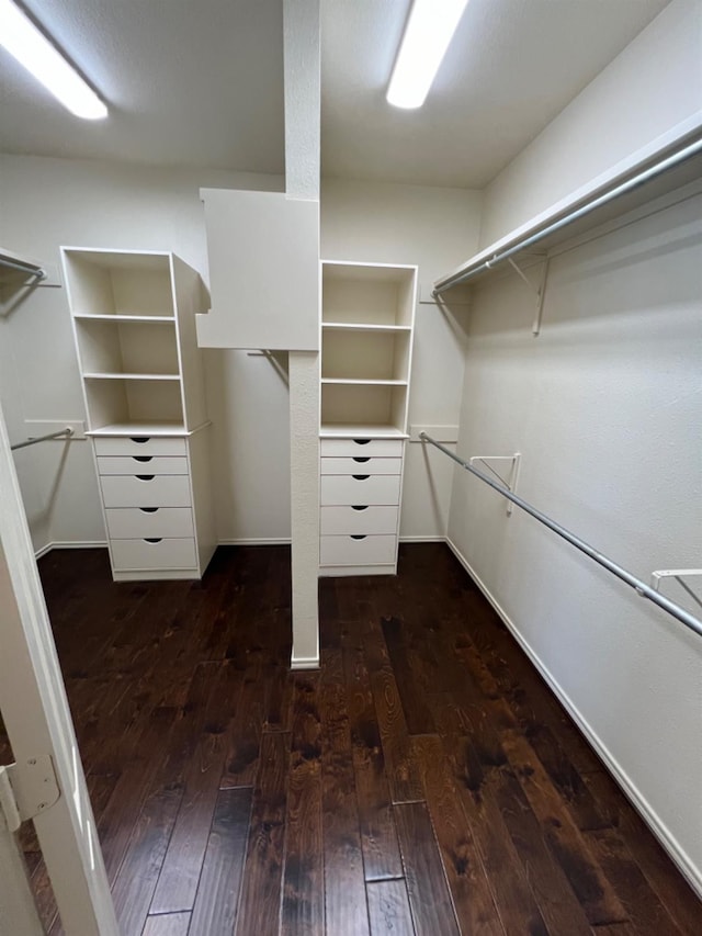 spacious closet with dark wood-type flooring