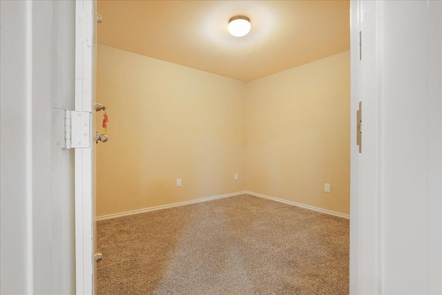 spare room with carpet