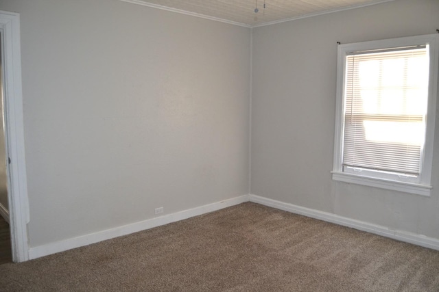 unfurnished room with ornamental molding and carpet flooring