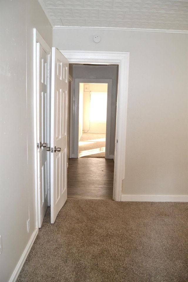 hall with ornamental molding and carpet