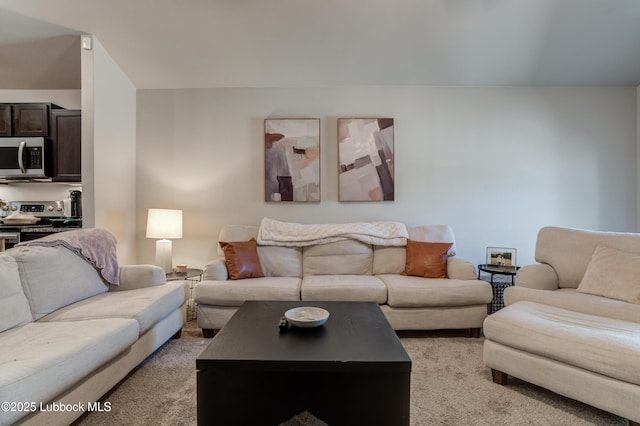 7511 31st St, Lubbock, TX 79407 - living area with light carpet