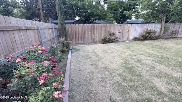 3806 56th St, Lubbock, TX 79413 - view of yard