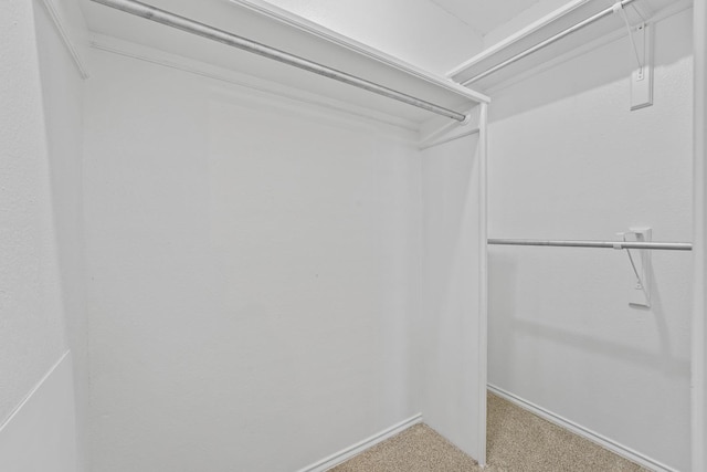 spacious closet with carpet floors