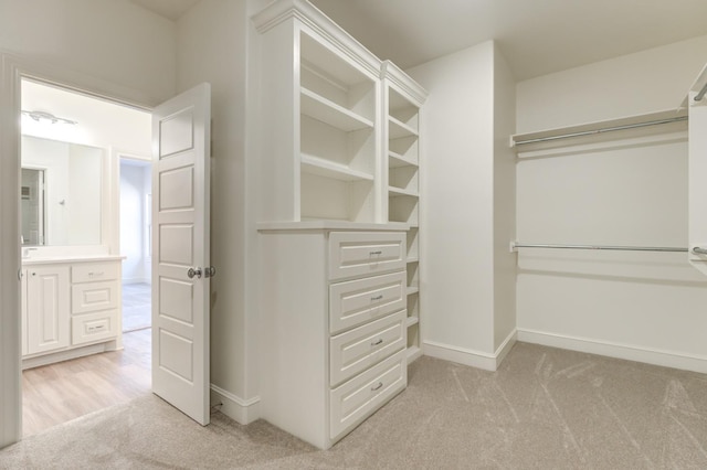 walk in closet with light colored carpet