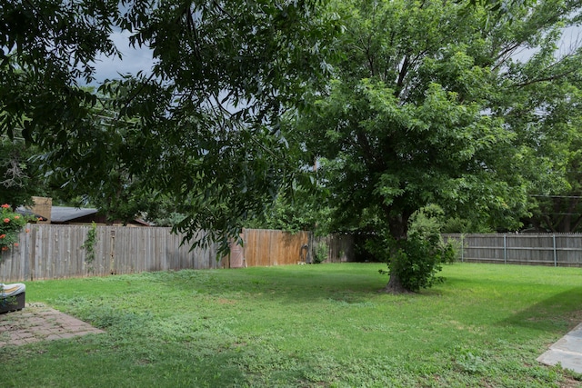 904 Itasca St, Plainview, TX 79072 - photo 48