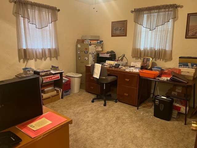 carpeted home office with plenty of natural light