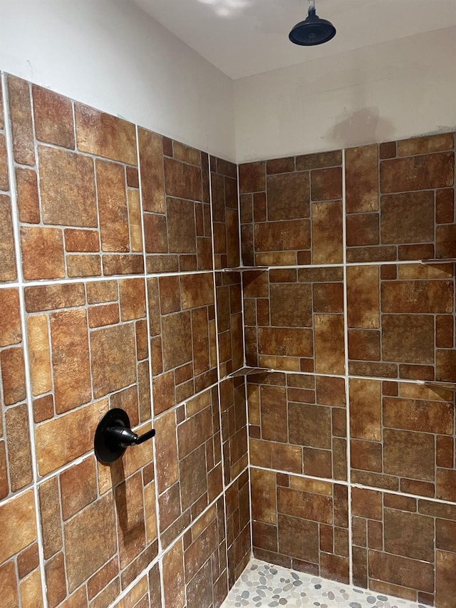 room details with tiled shower