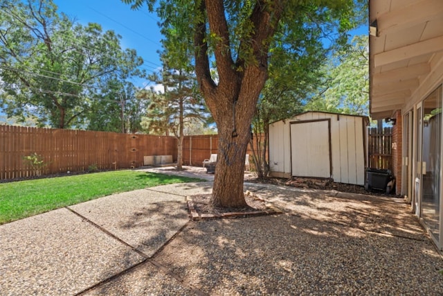 view of yard with a storage unit and a patio