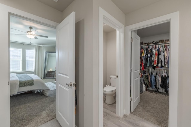 bathroom featuring ceiling fan, wood-type flooring, and toilet