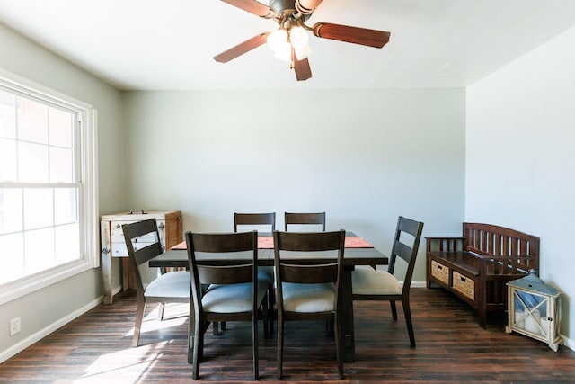 dining area with ceiling fan and dark hardwood / wood-style floors