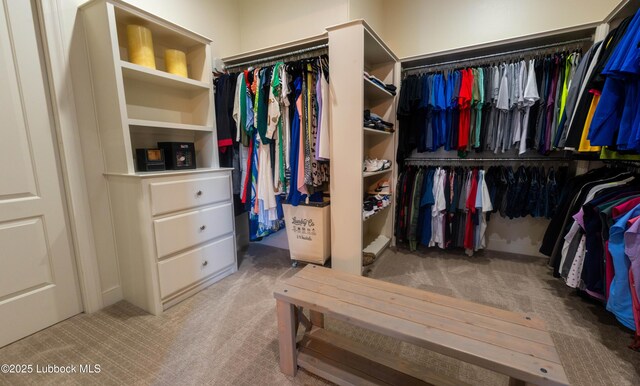 11707 Uxbridge Ave, Lubbock, TX 79424 - spacious closet with carpet