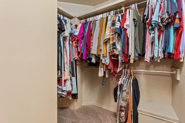 walk in closet with carpet floors