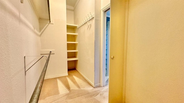 spacious closet featuring light carpet