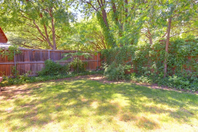 3423 94th St, Lubbock, TX 79423 - view of yard