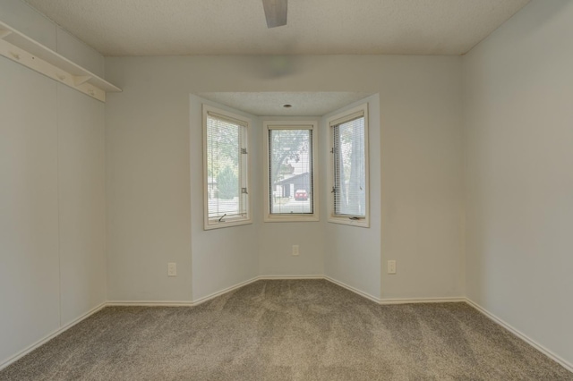 spare room featuring light colored carpet and a textured ceiling