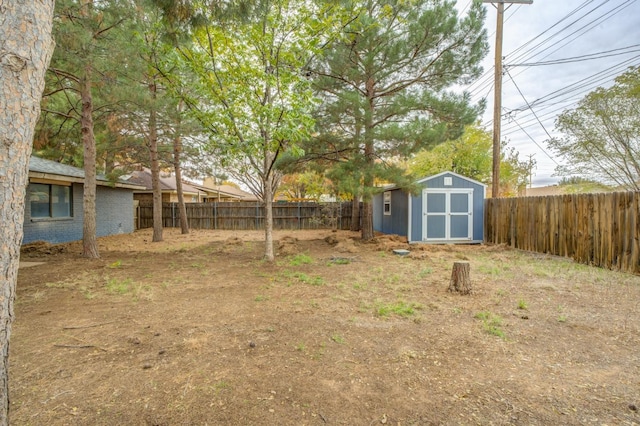 view of yard featuring a storage unit