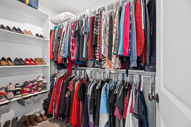 walk in closet with carpet floors