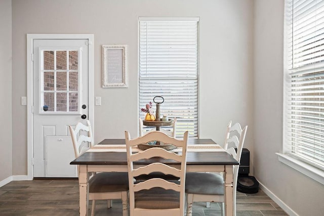 dining room featuring dark wood-type flooring