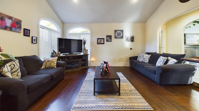 living room featuring dark wood-type flooring and lofted ceiling