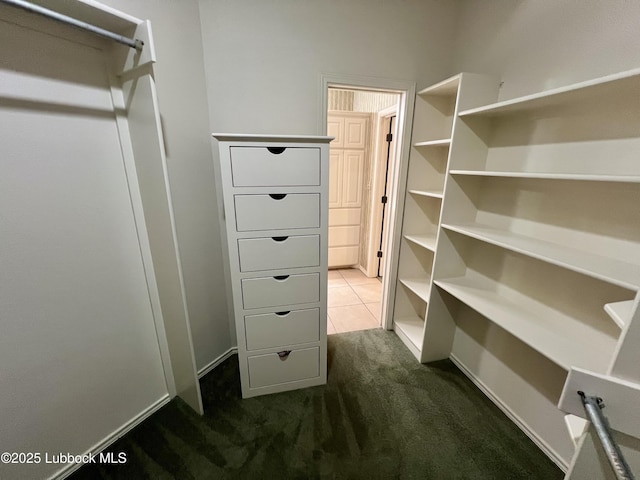 9802 Toledo Ave, Lubbock, TX 79424 - walk in closet featuring carpet floors
