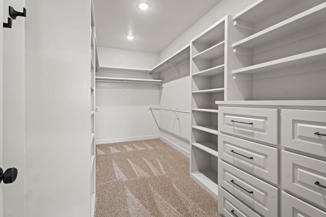 walk in closet featuring light colored carpet