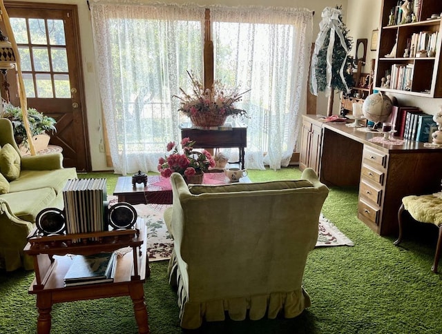 living area featuring carpet flooring