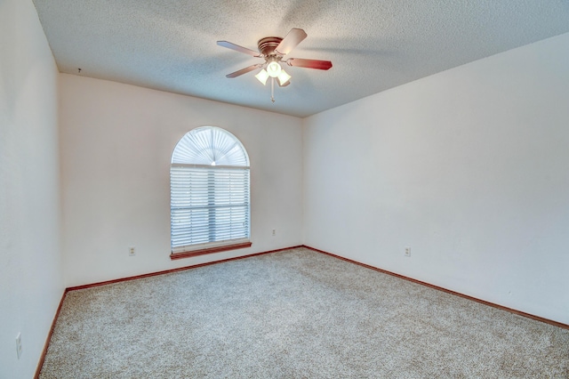 6034 71st St, Lubbock, TX 79424 - photo 7