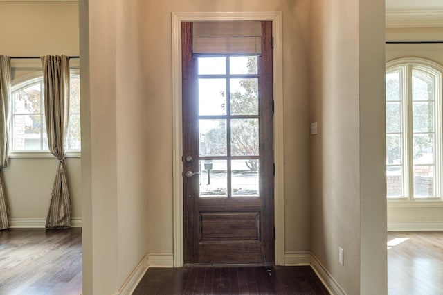 entryway featuring wood-type flooring and a healthy amount of sunlight