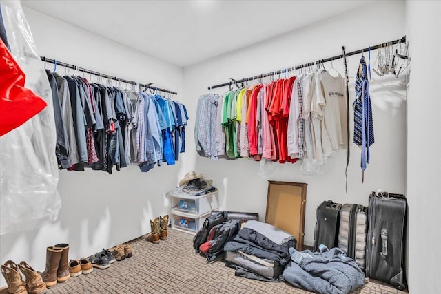 walk in closet with carpet floors