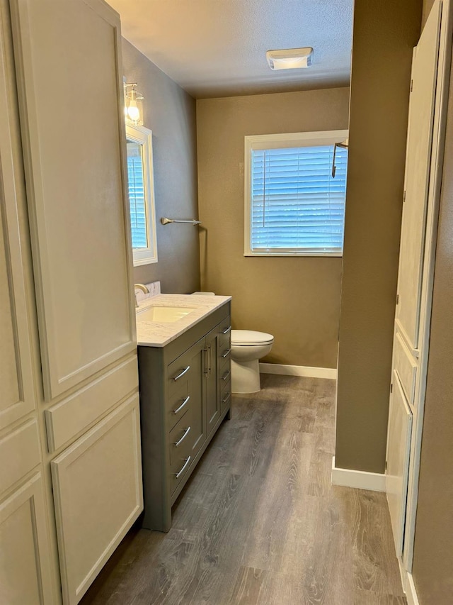 bathroom with vanity, toilet, hardwood / wood-style floors, and a wealth of natural light