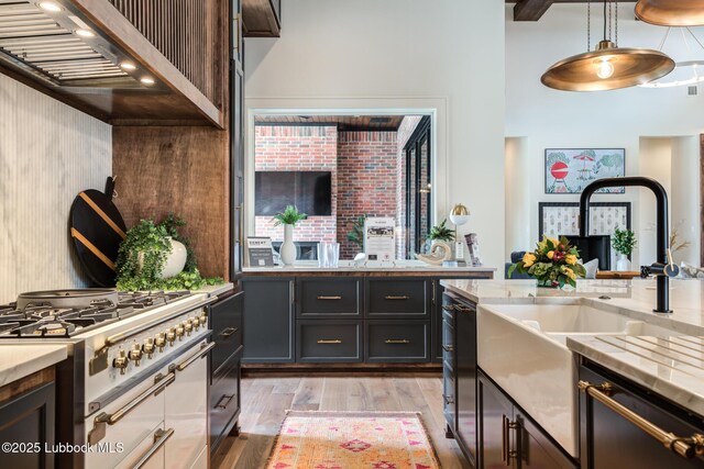 4510 Zadar Ave, Lubbock, TX 79407 - kitchen featuring dishwasher, light wood-type flooring, high end stainless steel range oven, decorative light fixtures, and wall chimney range hood